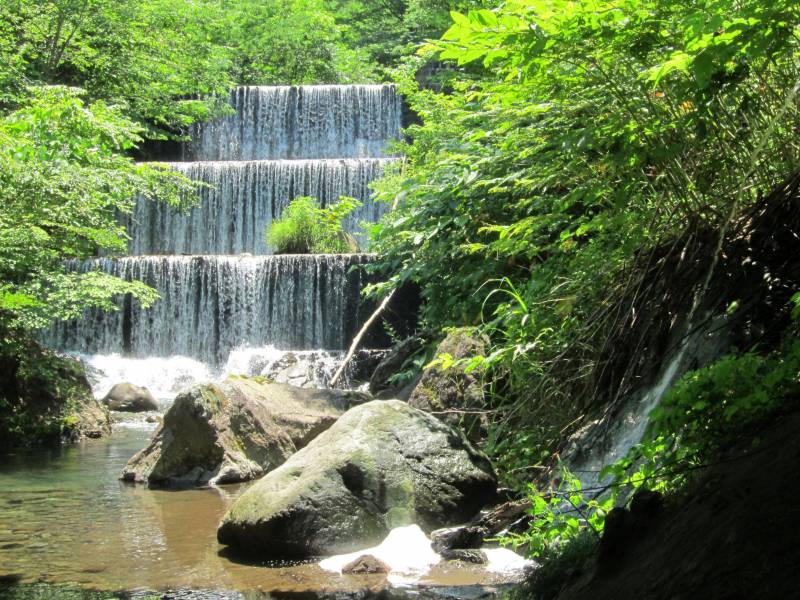 東鴉川 東鴉川