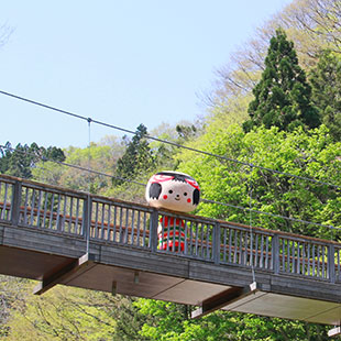 きぼっこちゃん