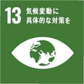 SDGs13