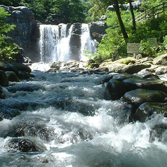 沢水・山水の利活用