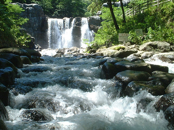 沢水・山水の利活用